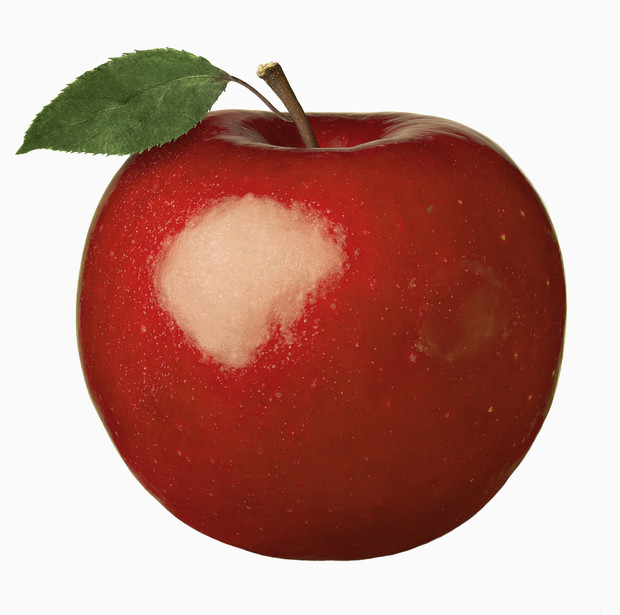 Фото №1 - Яблоко: к чему снится есть, собирать яблоки