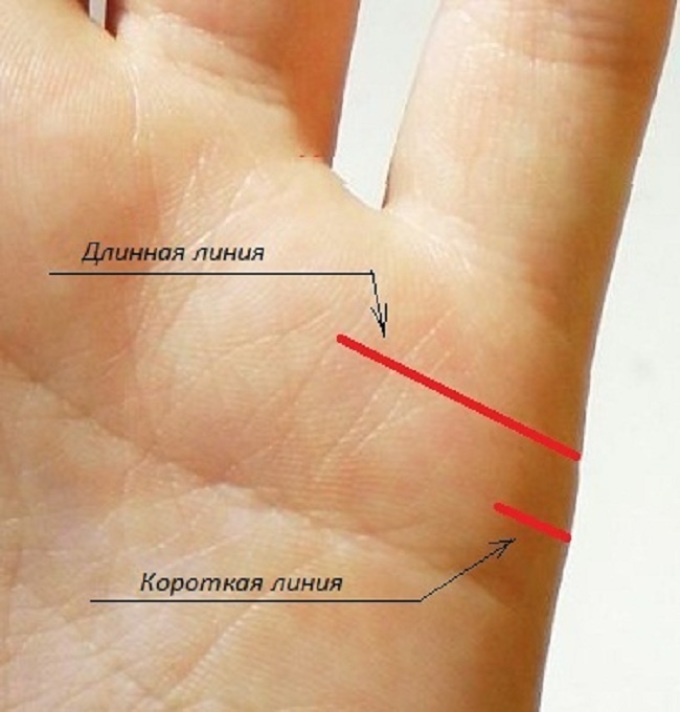 Линия замужества на руке у женщины фото с описанием на какой руке