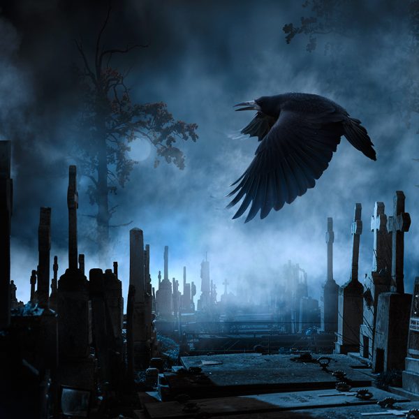 Ворон летит над кладбищем