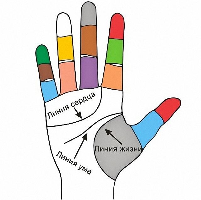 Хиромантия: линии на руке, расшифровка для начинающих. Как гадать на руке: подробное разъяснение для начинающих с фото и видео