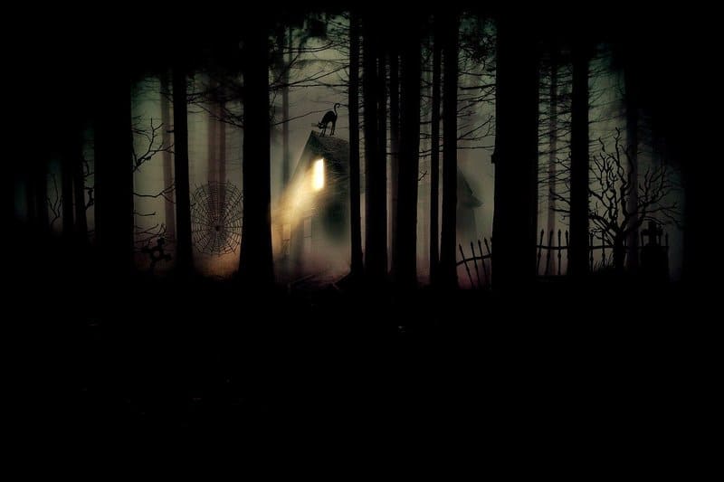 Фото кошмар лес