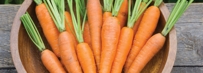 уборка моркови по лунному календарю