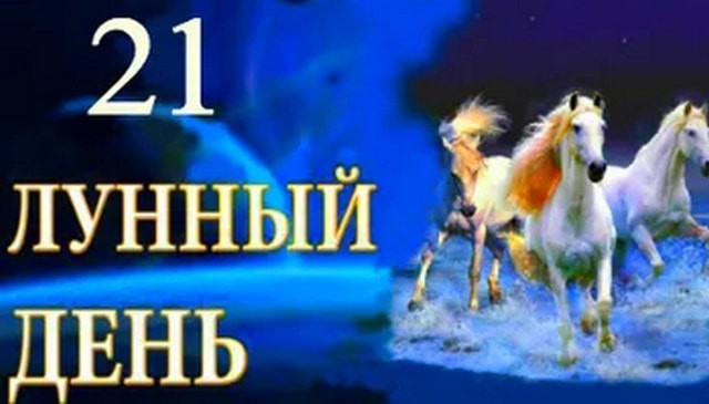 Картинки 21 лунный день