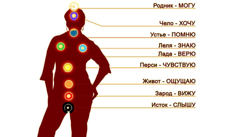 Чакры человека их расположение на теле фото и описание