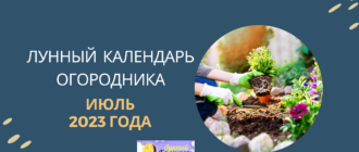 лунный календарь на июль 2023 года для садоводов