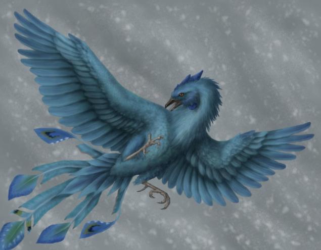 Легенда о Фениксе. Что означает огненная птица феникс